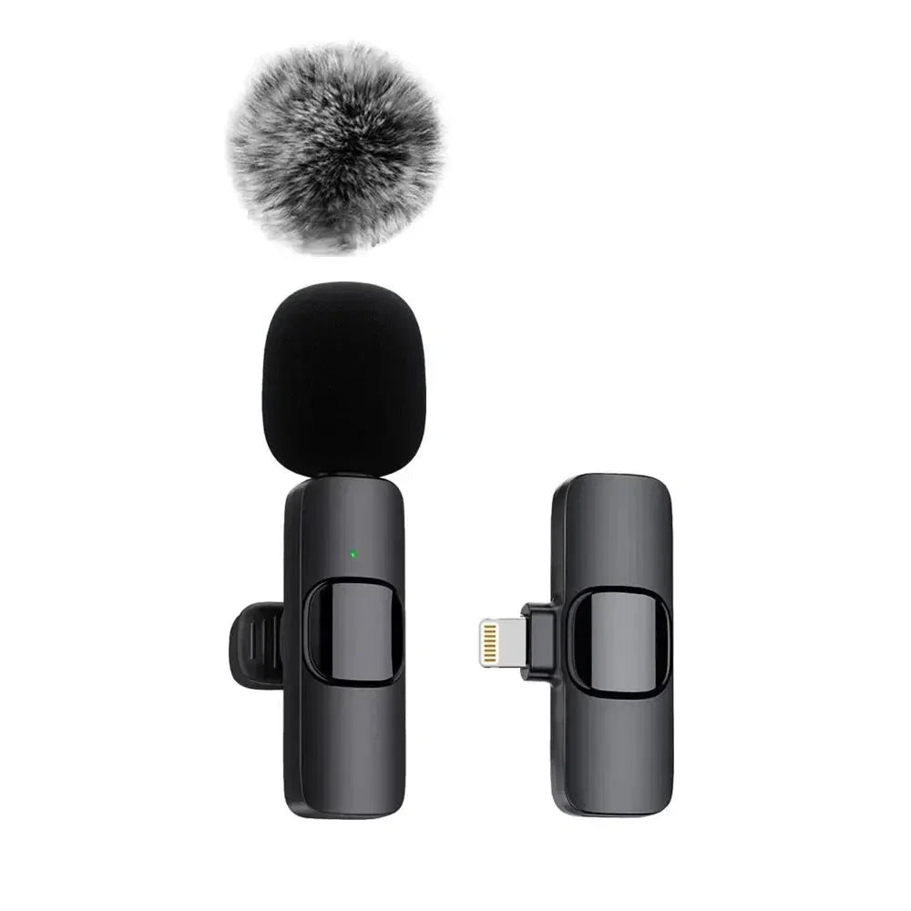 Dabfavshop Mini Mic for Recording with Windshield Muff