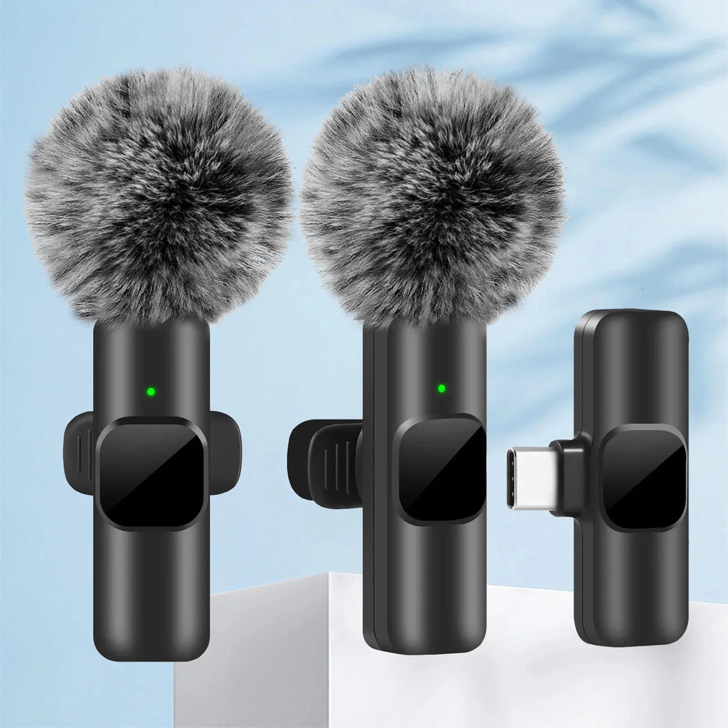 Dabfavshop Mini Mic for Recording with Windshield Muff